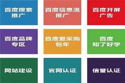 成功SEM主管的营销策略案例分享
