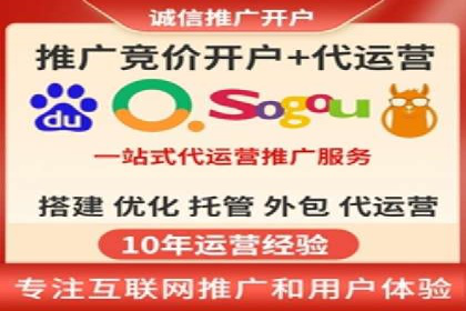 某电商平台的SEM运营实战与效果分析